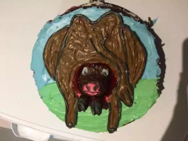 See the weird cake a 4yr old boy demanded for his birthday
